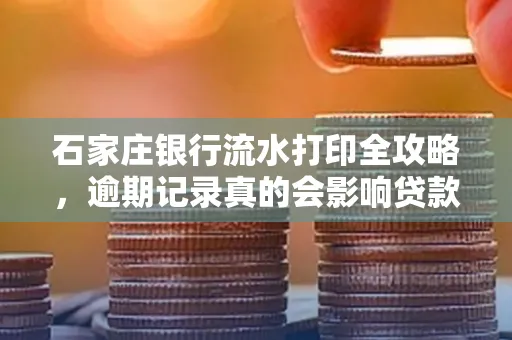 石家庄银行流水打印全攻略,逾期记录真的会影响贷款吗?