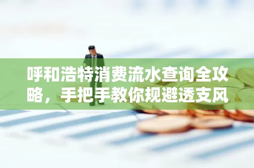 呼和浩特消费流水查询全攻略,手把手教你规避透支风险