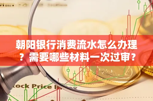 朝阳银行消费流水怎么办理?需要哪些材料一次过审?