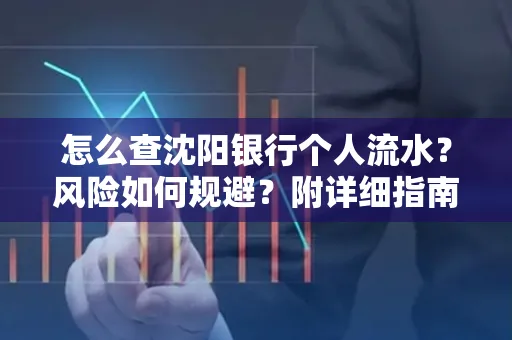 怎么查沈阳银行个人流水?风险如何规避?附详细指南