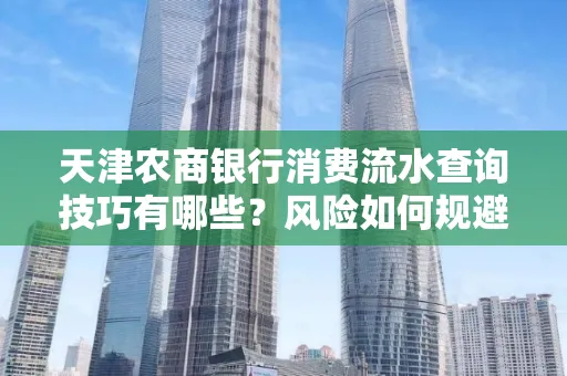 天津农商银行消费流水查询技巧有哪些?风险如何规避?