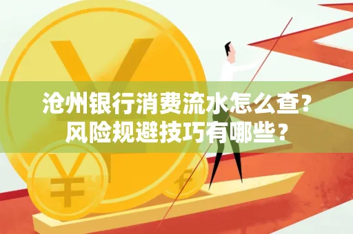 沧州银行消费流水怎么查?风险规避技巧有哪些?