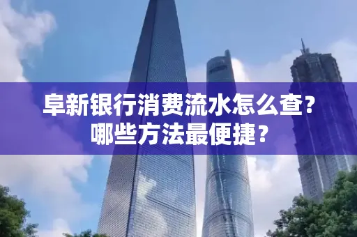 阜新银行消费流水怎么查?哪些方法最便捷?