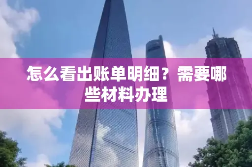 怎么看出账单明细?需要哪些材料办理