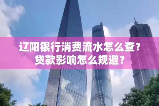 辽阳银行消费流水怎么查?贷款影响怎么规避?