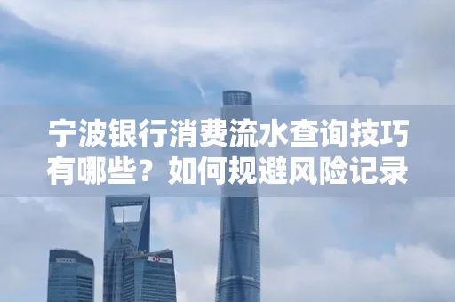 宁波银行消费流水查询技巧有哪些?如何规避风险记录?
