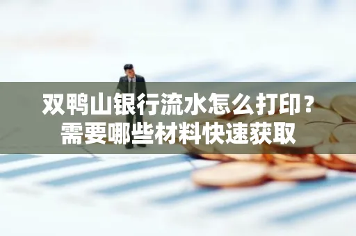 双鸭山银行流水怎么打印?需要哪些材料快速获取