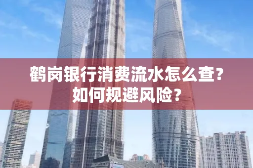 鹤岗银行消费流水怎么查?如何规避风险?