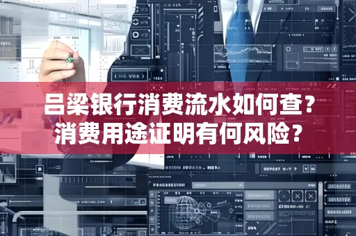 吕梁银行消费流水如何查?消费用途证明有何风险?