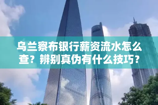 乌兰察布银行薪资流水怎么查?辨别真伪有什么技巧?