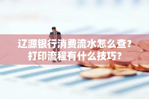 辽源银行消费流水怎么查?打印流程有什么技巧?