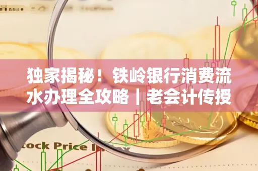 独家揭秘!铁岭银行消费流水办理全攻略|老会计传授防诈技巧