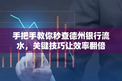 手把手教你秒查德州银行流水,关键技巧让效率翻倍