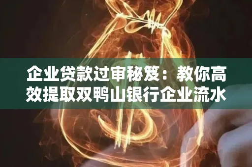 企业贷款过审秘笈:教你高效提取双鸭山银行企业流水