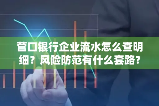 营口银行企业流水怎么查明细?风险防范有什么套路?