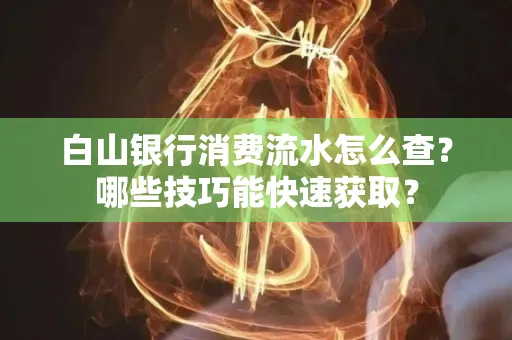 白山银行消费流水怎么查?哪些技巧能快速获取?