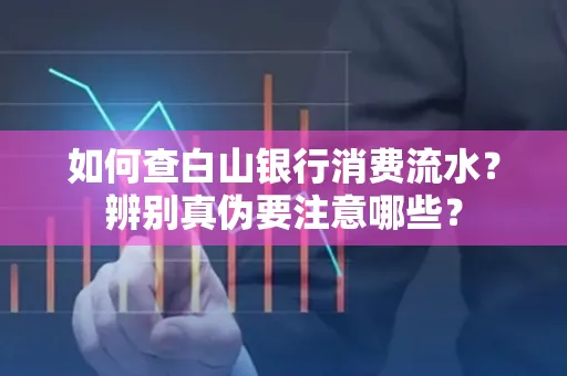 如何查白山银行消费流水?辨别真伪要注意哪些?