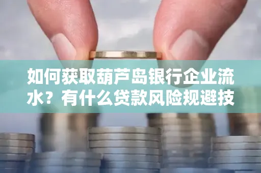 如何获取葫芦岛银行企业流水?有什么贷款风险规避技巧?
