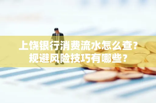 上饶银行消费流水怎么查?规避风险技巧有哪些?