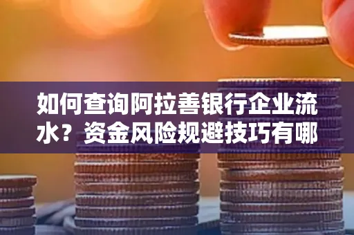 如何查询阿拉善银行企业流水?资金风险规避技巧有哪些?