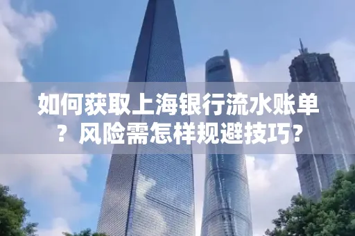 如何获取上海银行流水账单?风险需怎样规避技巧?