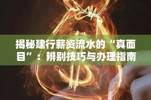 揭秘建行薪资流水的“真面目”:辨别技巧与办理指南大公开