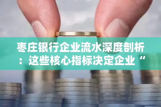 枣庄银行企业流水深度剖析:这些核心指标决定企业“钱袋子”健康度
